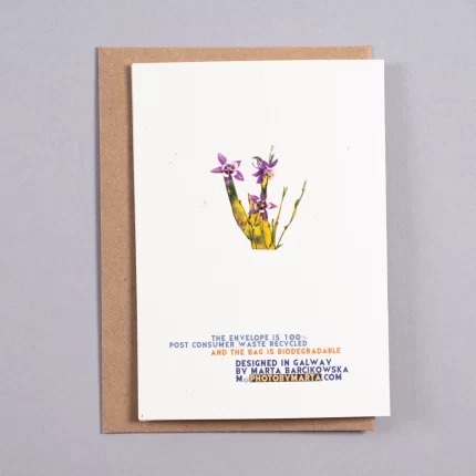 Birthday Card - Vegetation