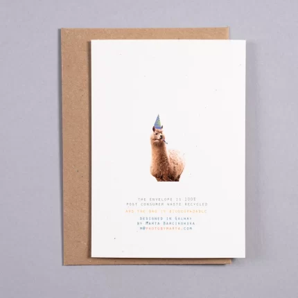 Birthday Card - Llama Birthday