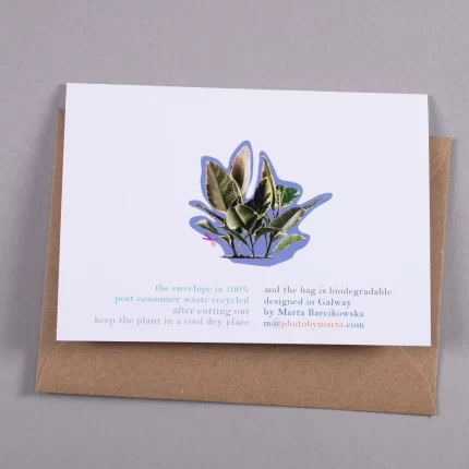 Everything Else Card - Plant