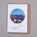 Everything Else Card - Mesmerising Sheep